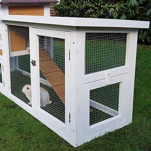 Kaninchenstall Queensland